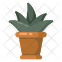 پیش‌نمایش فایل indoor-plant-2114009 از پک دفتر کار