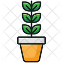 پیش‌نمایش فایل indoor-plant-2114355 از پک خدمات هتل
