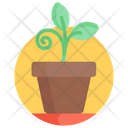 پیش‌نمایش فایل plant-growth-2288816 از پک کسب و کار