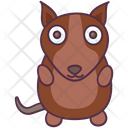 پیش‌نمایش فایل raccoon-2349336 از پک حیوانات