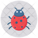 پیش‌نمایش فایل ladybird-2366861 از پک متفرقه
