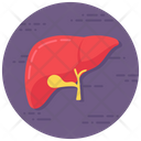 پیش‌نمایش فایل liver-2367931 از پک متفرقه