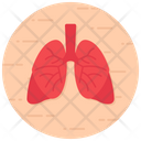پیش‌نمایش فایل lungs-2368812 از پک متفرقه