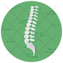 پیش‌نمایش فایل spine-2368822 از پک متفرقه