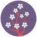 پیش‌نمایش فایل cherry-blossom-2369431 از پک متفرقه