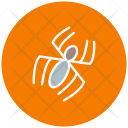 پیش‌نمایش فایل spider-halloween-zombie-fantasy از پک خط پر سئو