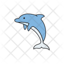 پیش‌نمایش فایل dolphin-8878777 از پک حیوانات اقیانوس