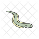 پیش‌نمایش فایل sea-eel-8878784 از پک حیوانات اقیانوس