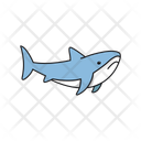 پیش‌نمایش فایل shark-8878785 از پک حیوانات اقیانوس