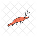 پیش‌نمایش فایل shrimp-8878786 از پک حیوانات اقیانوس