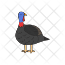 پیش‌نمایش فایل turkey-9458269 از پک حیوانات مزرعه