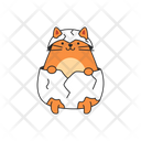 پیش‌نمایش فایل cute-cat-in-eggshell-9891426 از پک گربه‌های بامزه