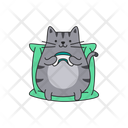 پیش‌نمایش فایل cute-cat-sitting-and-playing-game-9891420 از پک گربه‌های بامزه