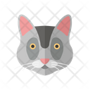 پیش‌نمایش فایل cat-2469779 از پک حیوانات