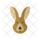 پیش‌نمایش فایل rabbit-2469777 از پک حیوانات