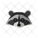 پیش‌نمایش فایل raccoon-2469789 از پک حیوانات