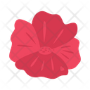 پیش‌نمایش فایل flowers-8979106 از پک روز یادبود