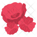 پیش‌نمایش فایل poppy-flowers-8979110 از پک روز یادبود