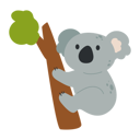 پیش‌نمایش فایل baby-koala-11599261 از پک بامزه Baby حیوان