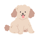 پیش‌نمایش فایل puppy-11599245 از پک بامزه Baby حیوان