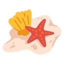 پیش‌نمایش فایل starfish-and-sea-shells-12126708 از پک ساحل
