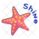 پیش‌نمایش فایل star-fish-8650673 از پک تابستان و تعطیلات‌ها