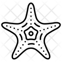 پیش‌نمایش فایل starfish-9076512 از پک سفر و هتل