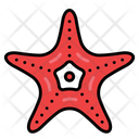 پیش‌نمایش فایل starfish-9076411 از پک سفر و هتل