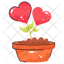 پیش‌نمایش فایل love-plant-9345966 از پک عشق