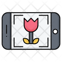 پیش‌نمایش فایل macro-mode-12376353 از پک طراحی و توسعه