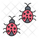 پیش‌نمایش فایل lady-bug-12378214 از پک محیط زیست