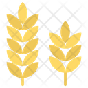 پیش‌نمایش فایل wheat-2252035 از پک غذا و نوشیدنی