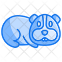پیش‌نمایش فایل guinea-pig-4045537 از پک دامپزشکی