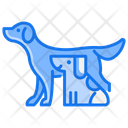 پیش‌نمایش فایل pets-4045516 از پک دامپزشکی