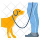 پیش‌نمایش فایل dog-training-4045622 از پک دامپزشکی