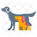 پیش‌نمایش فایل pets-4045628 از پک دامپزشکی