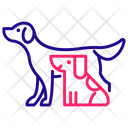 پیش‌نمایش فایل pets-4045494 از پک دامپزشکی