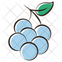 پیش‌نمایش فایل grapes-4120906 از پک غذا و نوشیدنی