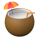 پیش‌نمایش فایل coconut-drink-9030098 از پک سفر