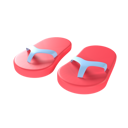 پیش‌نمایش فایل slippers-5636874 از پک متفرقه