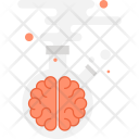پیش‌نمایش فایل brain-53 از پک سئو و توسعه - جلد 2