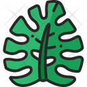 پیش‌نمایش فایل monstera-leaf-5484278 از پک تابستان