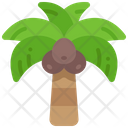 پیش‌نمایش فایل coconut-tree-5484231 از پک تابستان