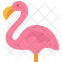 پیش‌نمایش فایل flamingo-5484234 از پک تابستان