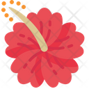 پیش‌نمایش فایل hibiscus-5484238 از پک تابستان
