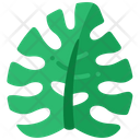 پیش‌نمایش فایل monstera-leaf-5484242 از پک تابستان
