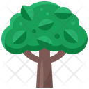 پیش‌نمایش فایل tree-5484256 از پک تابستان