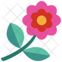 پیش‌نمایش فایل flower-5492779 از پک روز زن