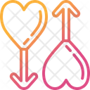 پیش‌نمایش فایل gay-7579269 از پک عروسی