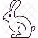پیش‌نمایش فایل bunny-6149746 از پک قصاب